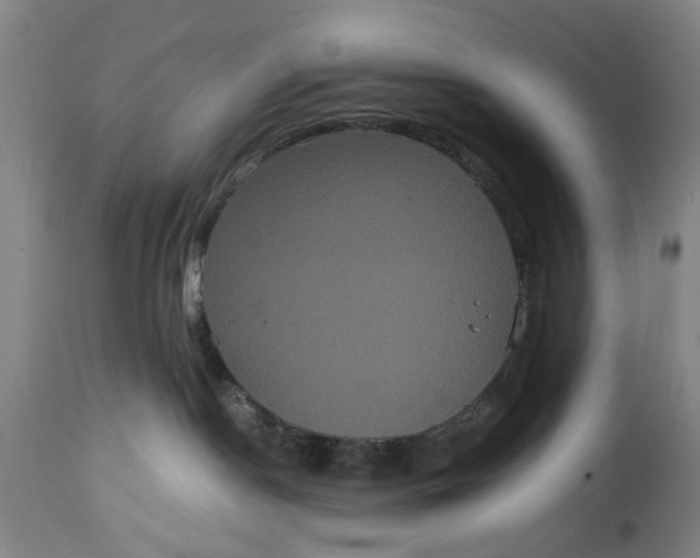 X0000114640190200911101307