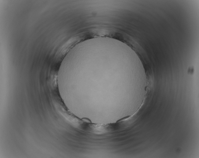 X0000114640191200911101307