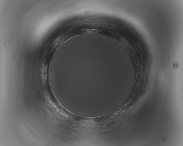 X0000114640194200911101306