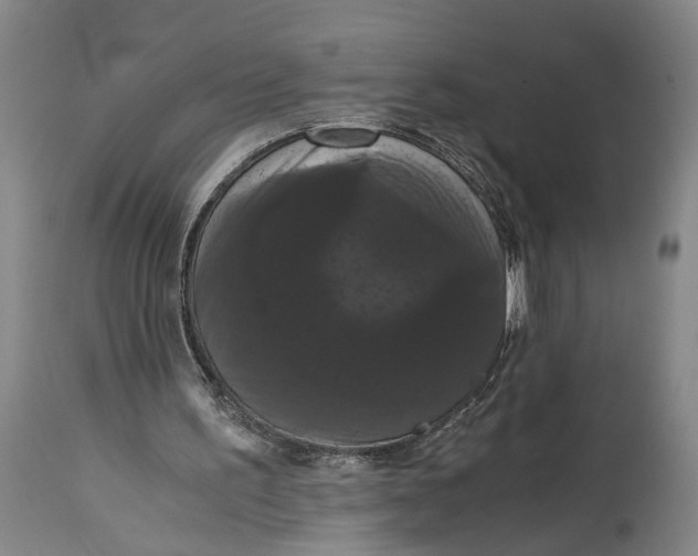 X0000114640195200911101306