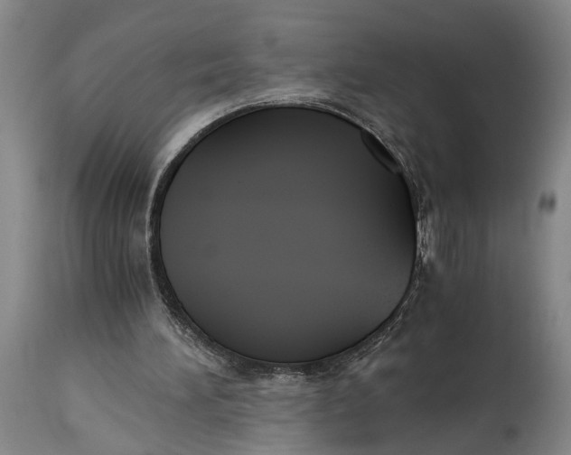 X0000114640196200911101306
