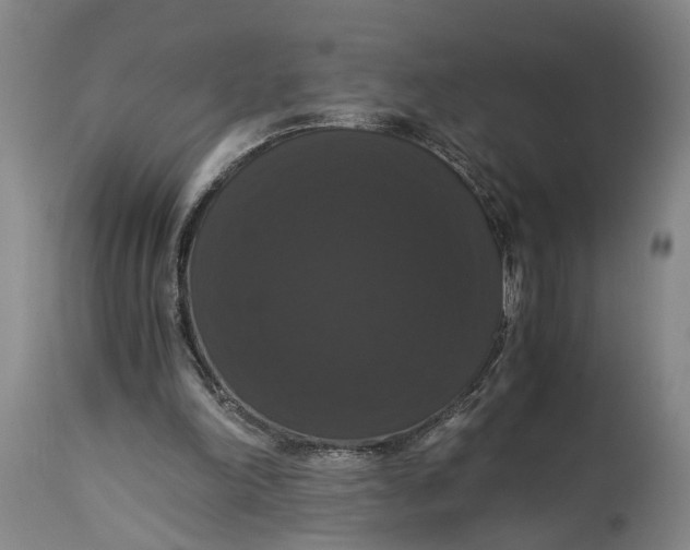 X0000114640198200911101306
