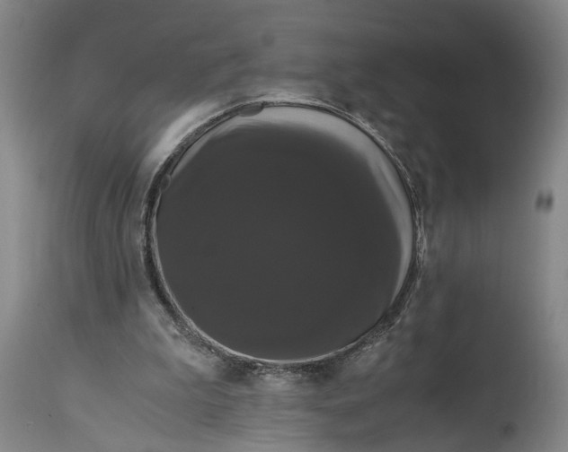 X0000114640199200911101306