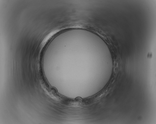 X0000114640200200911101306