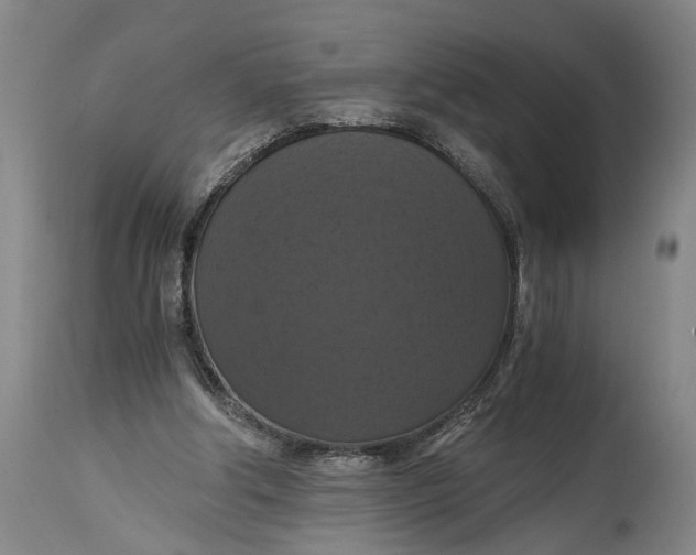 X0000114640202200911101306
