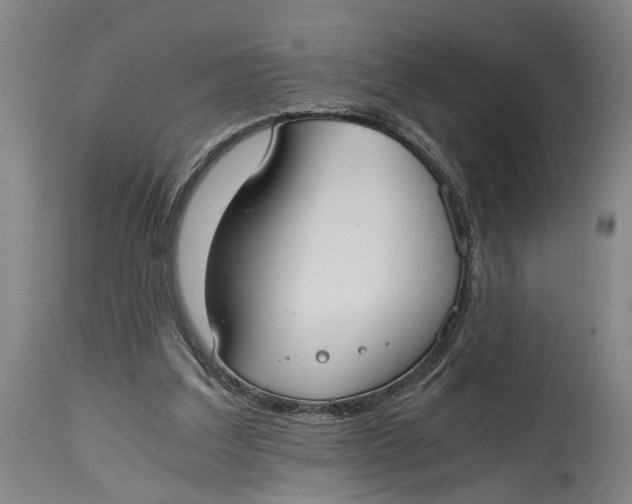 X0000114640203200911101306