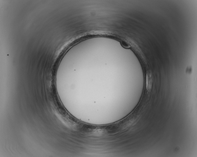 X0000114640204200911101306