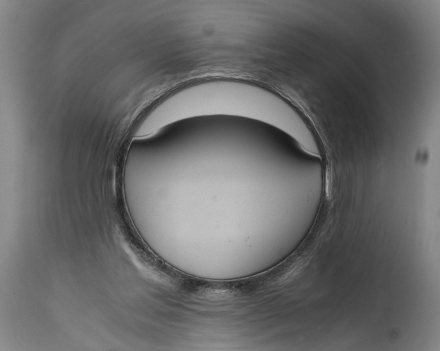 X0000114640205200911101306