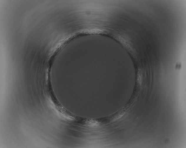 X0000114640206200911101306