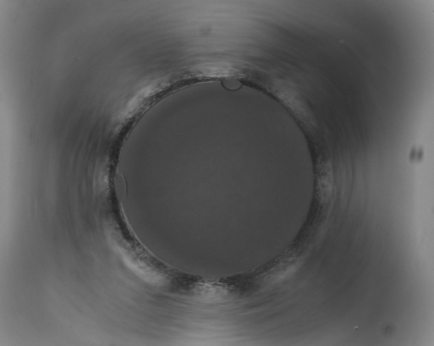 X0000114640207200911101306