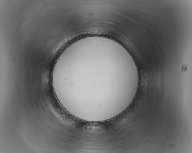 X0000114640208200911101306