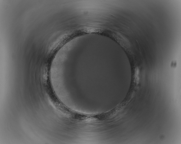 X0000114640210200911101306