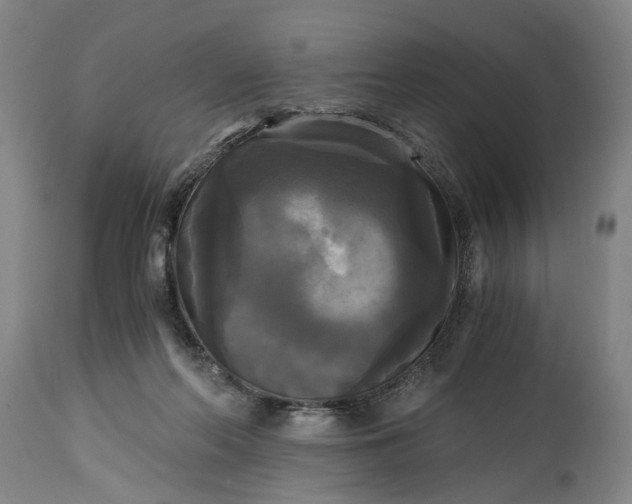 X0000114640214200911101306