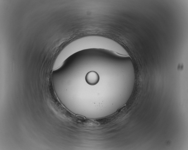 X0000114640215200911101306