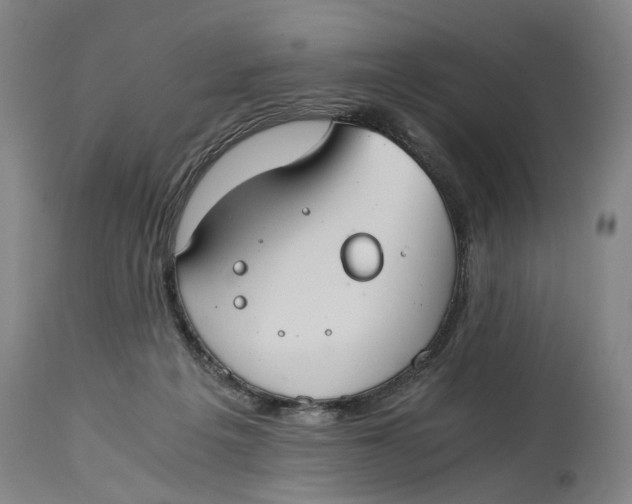X0000114640217200911101306