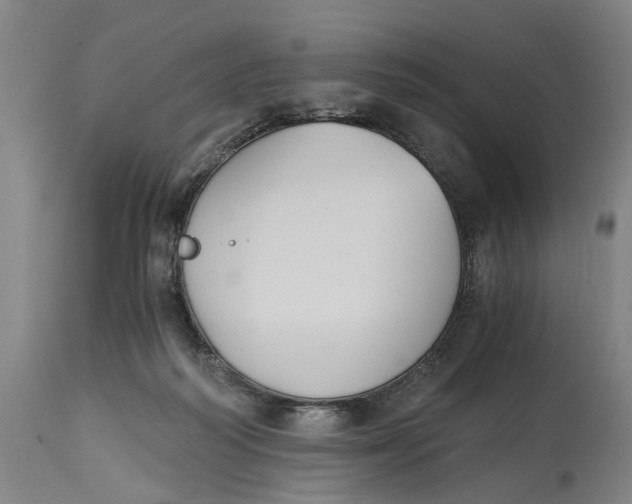 X0000114640218200911101306