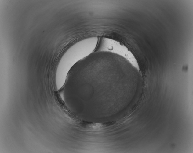 X0000114640219200911101306