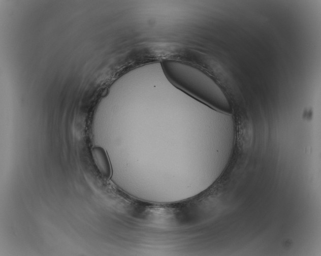 X0000114640221200911101306