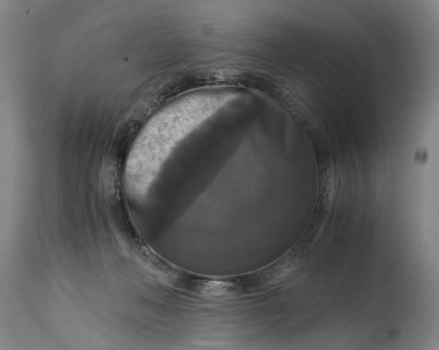X0000114640222200911101306