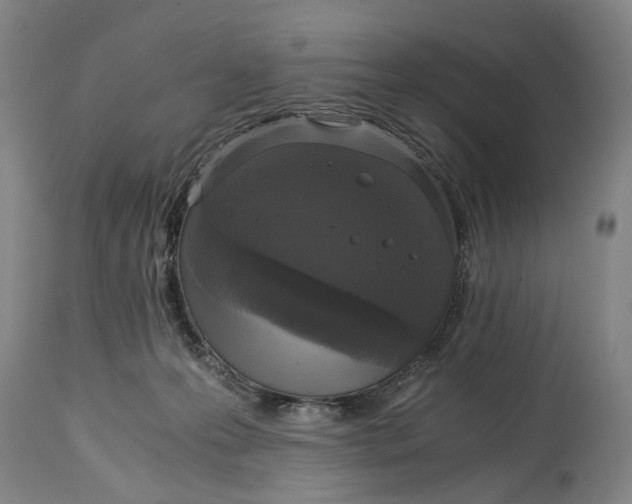 X0000114640223200911101306