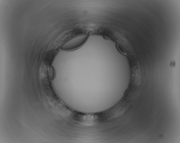 X0000114640225200911101306