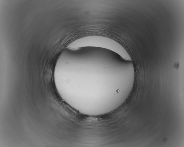 X0000114640227200911101306