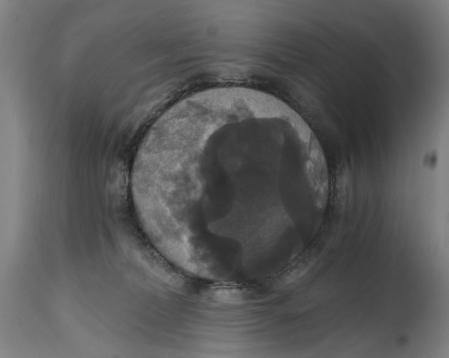 X0000114640228200911101306