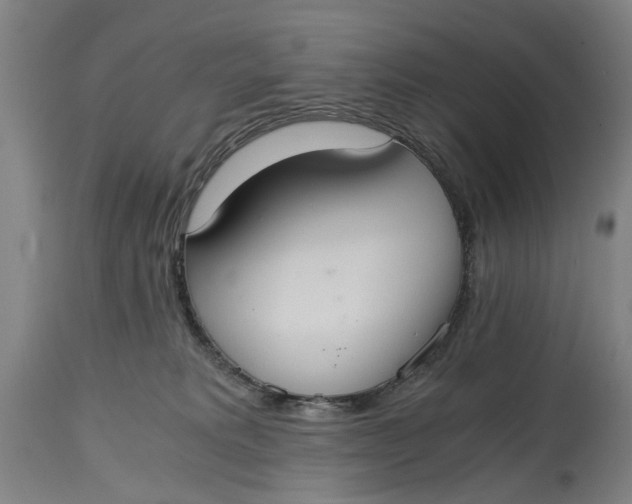 X0000114640229200911101306