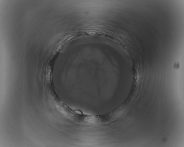 X0000114640231200911101306