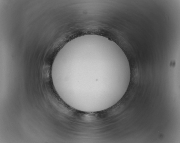X0000114640232200911101306