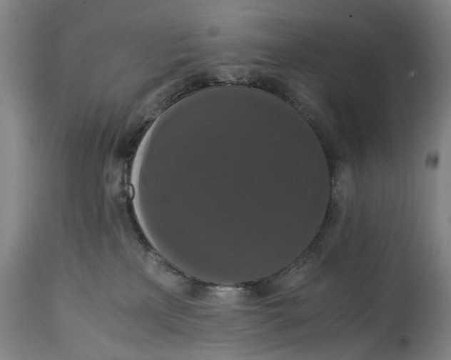 X0000114640233200911101305