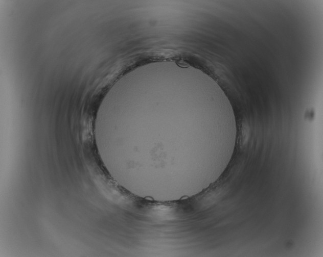 X0000114640236200911101305