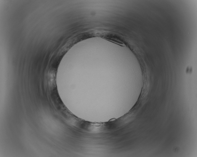X0000114640240200911101305