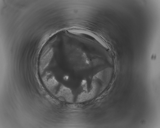 X0000114640241200911101305