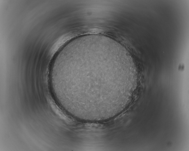 X0000114640242200911101305