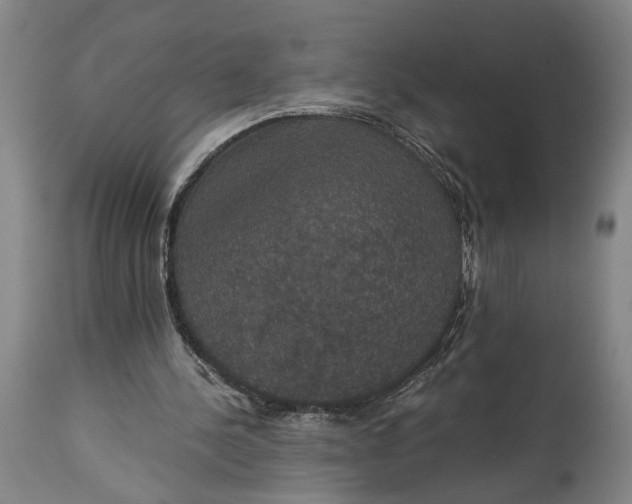 X0000114640244200911101305