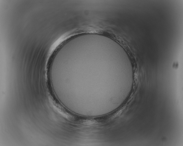 X0000114640246200911101305