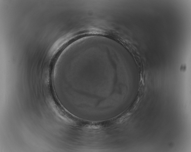 X0000114640247200911101305