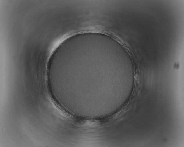 X0000114640248200911101305