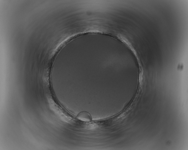 X0000114640249200911101305