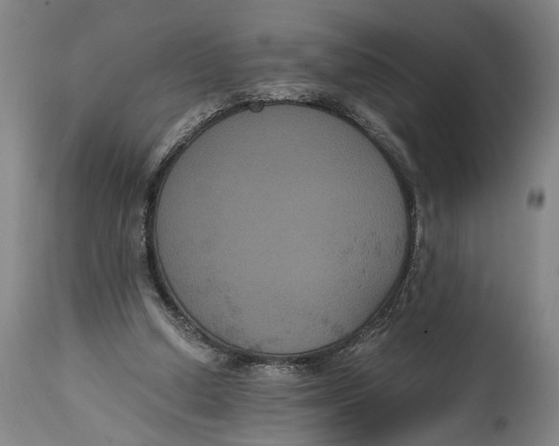 X0000114640250200911101305