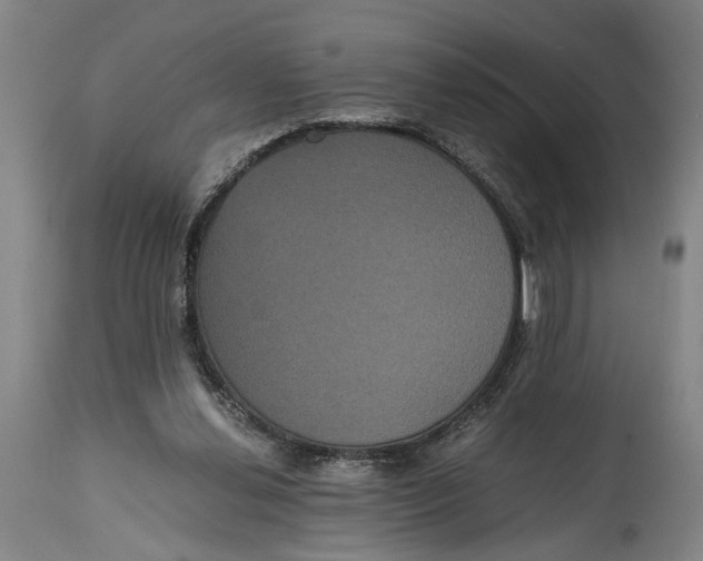 X0000114640252200911101305