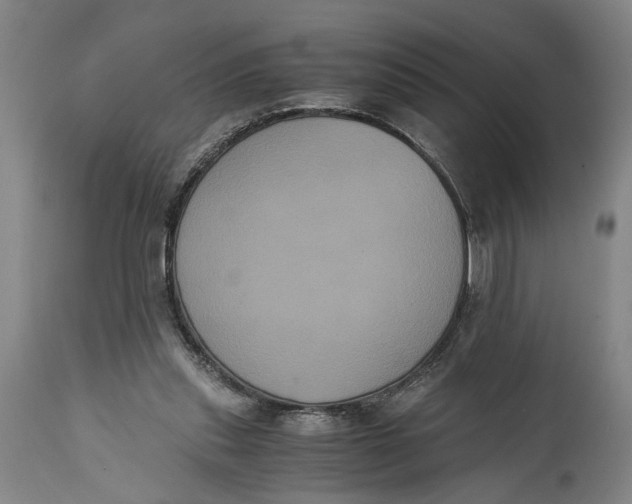 X0000114640253200911101305
