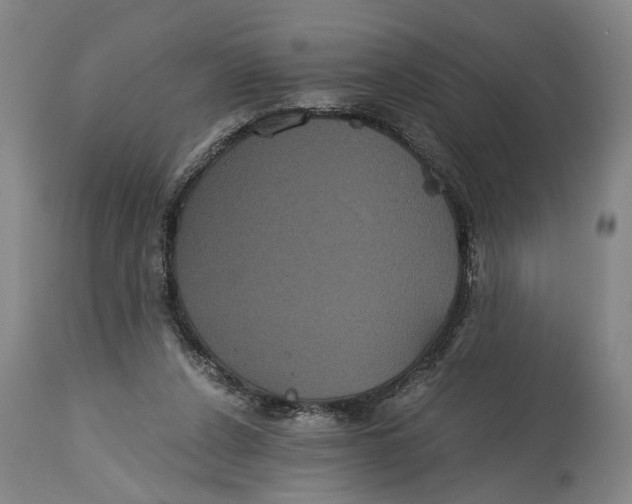 X0000114640256200911101305
