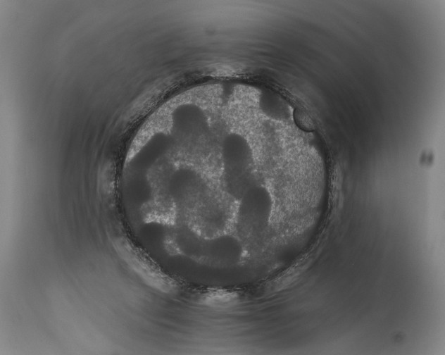 X0000114640257200911101305