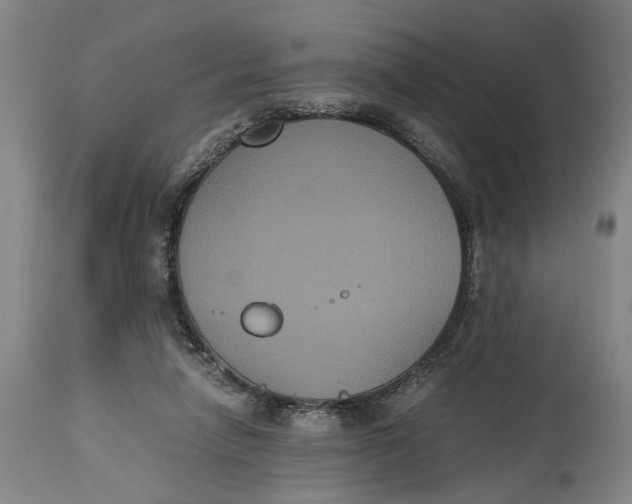 X0000114640258200911101305