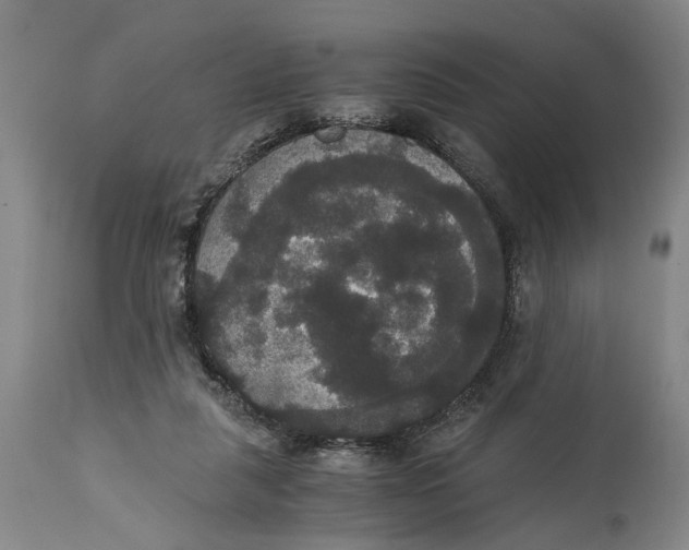 X0000114640259200911101305