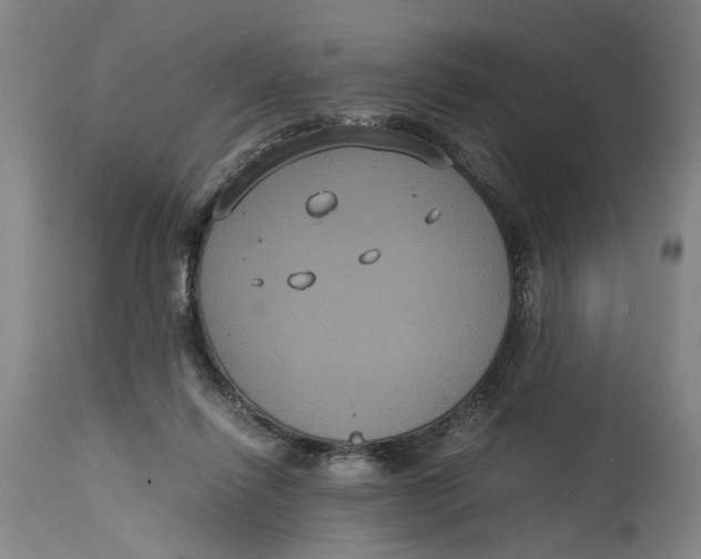 X0000114640262200911101305