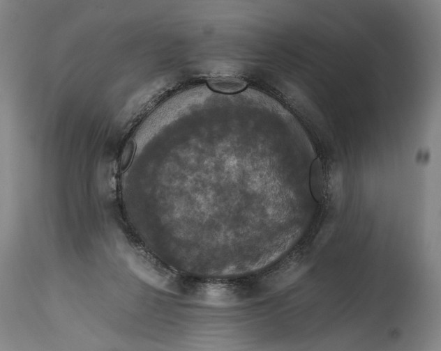 X0000114640264200911101305
