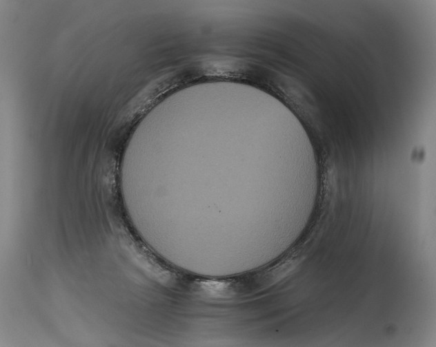 X0000114640265200911101305